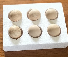 12 x Guinea Fowl fertile hatching eggs - 2