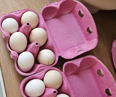 Silkie chicken hatching eggs - 3