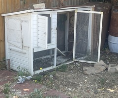 3 chickens - 4