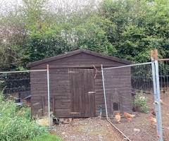 Hen shed plus 40 hens