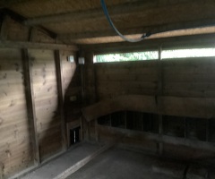Hen shed plus 40 hens - 2