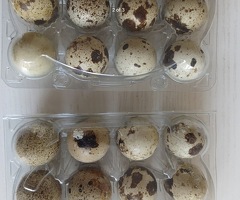 Quail eggs for Eating