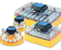 Strangford Incubators Poultry Rearing Equipment For Sale