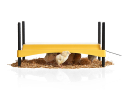 Strangford Incubators Poultry Rearing Equipment For Sale - 2