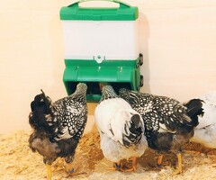 Strangford Incubators Poultry Rearing Equipment For Sale - 3