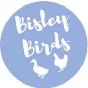 Bisley Birds