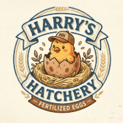 Harry's Hatchery