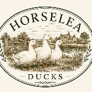Horselea Ducks