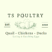 TS Poultry